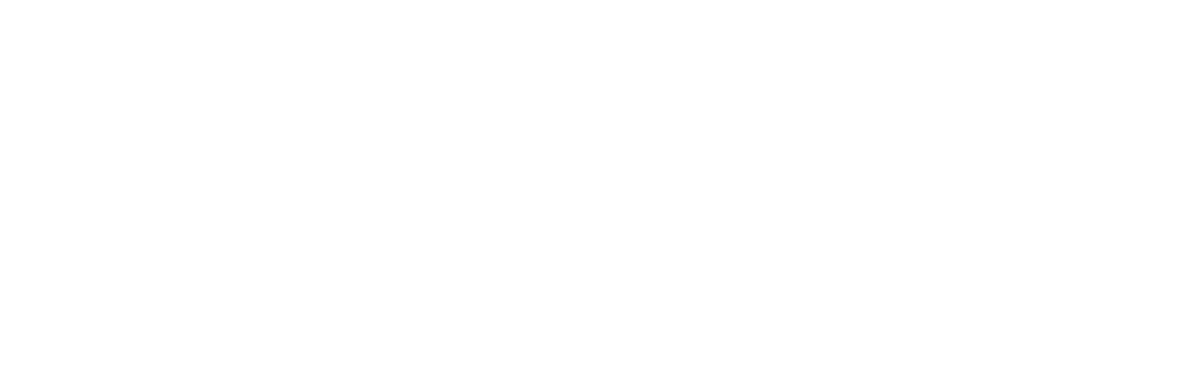 Lisa Murray